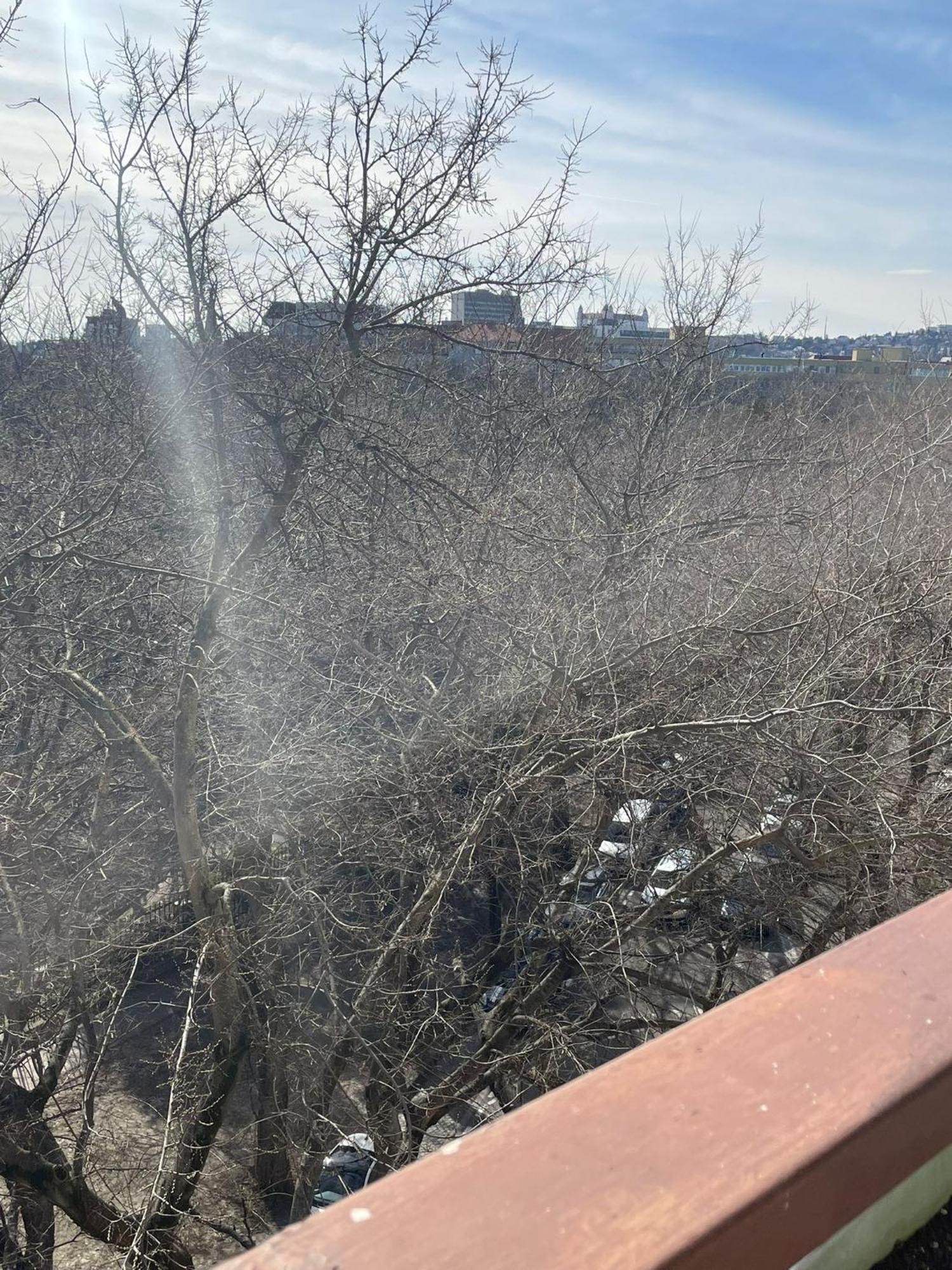 Park View City Center Location Apartment With Balcony Bratislava Extérieur photo